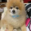ダクト__プラベ