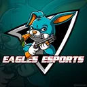 THE EAGLES ESPORTS