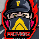 PROVERZ OFFICIAL icon