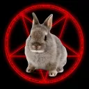 bunny cult