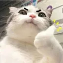 BAUM SÔ?