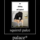 SQUIRRELS PALACE