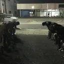 マウント会場