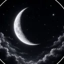 Лунные — мониторинг Discord сервера, статистика и рейтинг