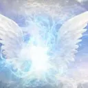 Open Wings