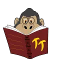 TurkToon