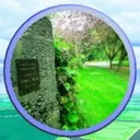 Madison Valley Pokémon GO