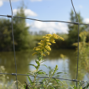 Omega SquadðŸ”® Server Icon