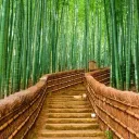 BambooTown