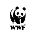Discovery icon for WWF Wild-Livestreamers Discord server