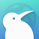 Kiwi Browser icon