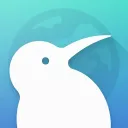 Kiwi Browser