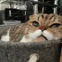たまねぎまの集い