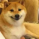 Doggo Mod Discord