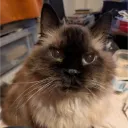 no name