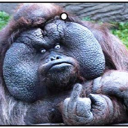 Fucking chill Server Icon