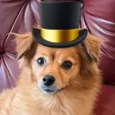 BlackoutTV
