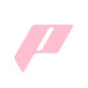 ˚˖𓍢ִ໋❀ pannys icon