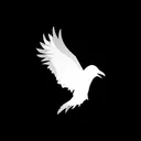 Ivory Crow Games