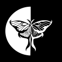 Lumimoth Community Discord Server Icon – Programming