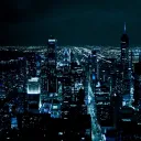 The Sity