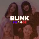 𝗕𝗟𝗜𝗡𝗞𝗙𝗥𝗔𝗡𝗖𝗘 🎃 icon
