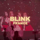 Discovery icon for 𝗕𝗟𝗜𝗡𝗞𝗙𝗥𝗔𝗡𝗖𝗘 Discord server