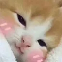 F L U F F