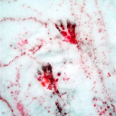 i'll sleep when i'm dead Server Icon