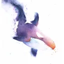 Whale Server