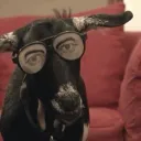 Goat Pen