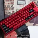 punchy_lab GB