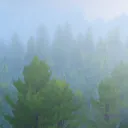 Foggy Frontier