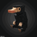 The Floo Network