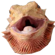 Crecell's Chat