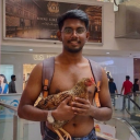 Discord Politics Council Discord server icon