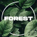 🎋대나무숲🎋