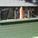 Laxxors Virtual Man-shed