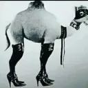 Slaves