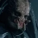 All Things Predator
