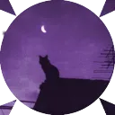 ︰Wolves ╯ ᵂˢ