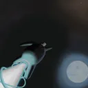 Flying Koi / Saikyo