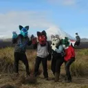 Furry Society