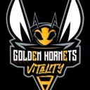 Golden Hornets