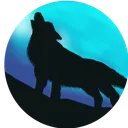 Livecam's Discord