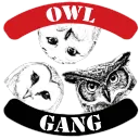 Owl Gang