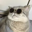 ля какие