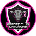 Esport Club Normandie Discord Server Icon