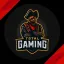 TOTAL GAMING