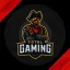 TOTAL GAMING